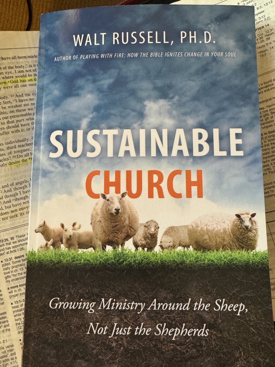 JanRenee3's tweet photo. Highly recommend this book of treasures. “We must build the church around the sheep, not just the shepherds (unless, of course, you’re talking about the Chief Shepherd).” https://t.co/w3E1BipJHm