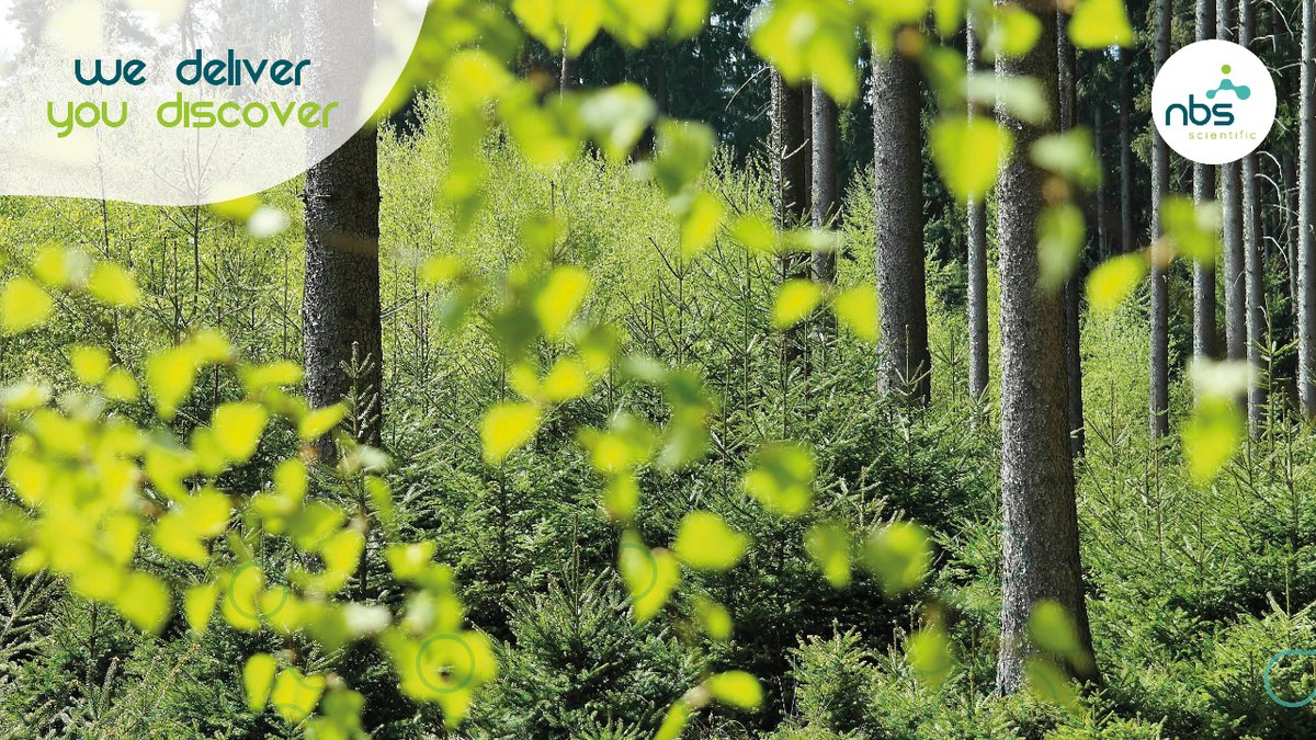 NBSScientificUS's tweet photo. 🌍 𝗖𝗲𝗹𝗲𝗯𝗿𝗮𝘁𝗶𝗻𝗴 𝗪𝗼𝗿𝗹𝗱 𝗘𝗻𝘃𝗶𝗿𝗼𝗻𝗺𝗲𝗻𝘁 𝗗𝗮𝘆
Today we celebrate World Environment Day, where we stand still at the collective efforts we take to protect and preserve it. https://t.co/jfqtDDsl4Z