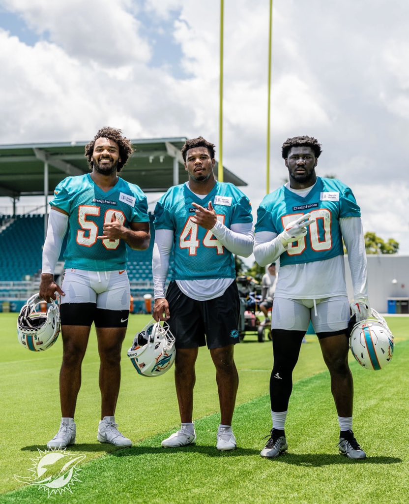 FinsXtra tweet media