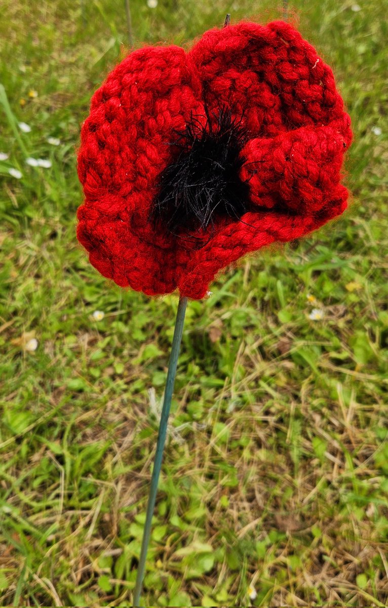 We have raised our Royal British Legion DDay80 flag and placed 80 knitted poppies courtesy of Dereham Crafters. Please do join us on the village green at 9.15pm tomorrow for the lighting of our village beacon
#DDay80 #DDay #RBL 
#wewillrememberthem