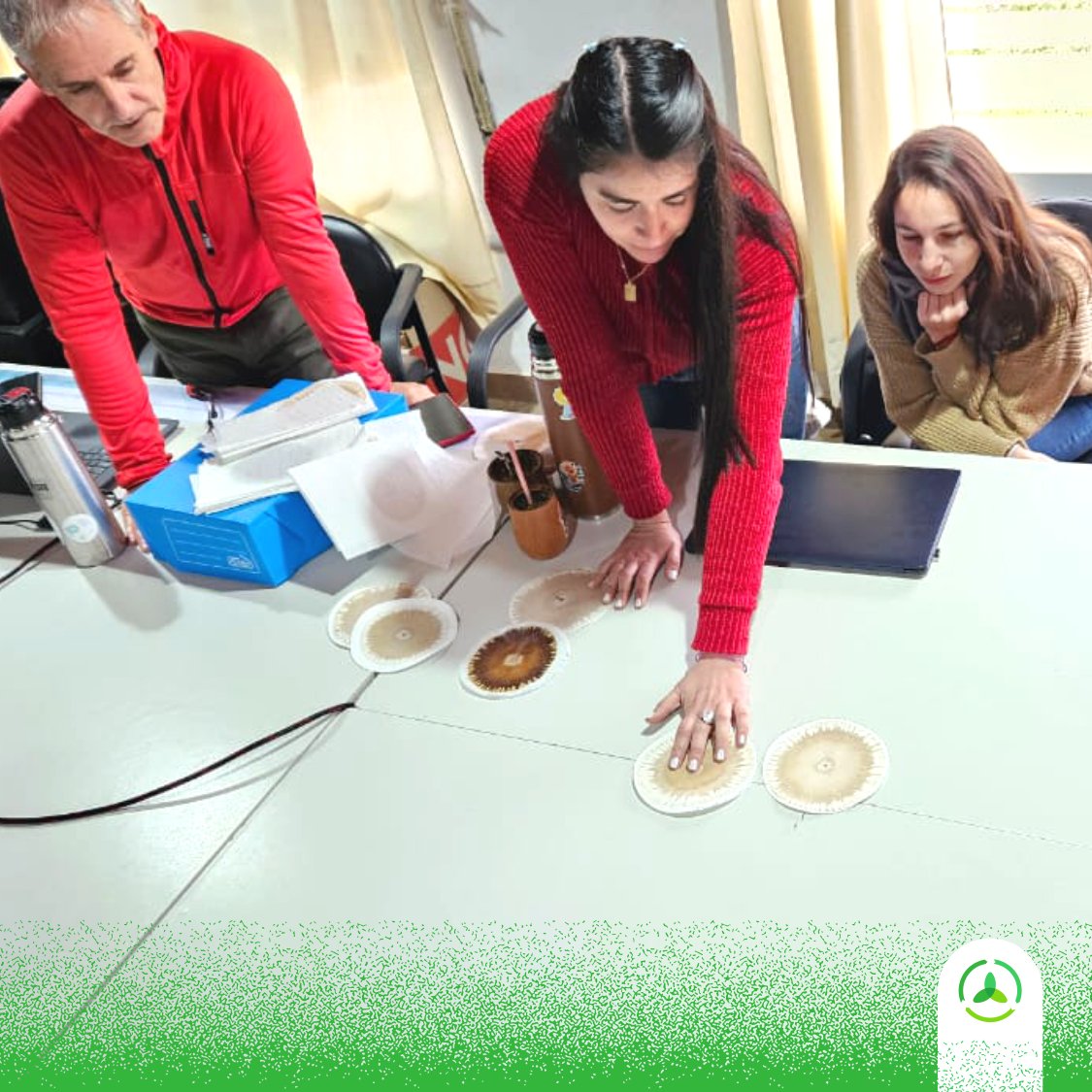 AgroconsultorSA's tweet photo. ¡Este plantel juega en la cancha con todo! ⚽️🌱🌽

Todas las áreas de Agroconsultor analizando resultados de ensayos. 

Nuestros servicios de Desarrollo de Tecnologías, Asesoramiento Agronómico, Protección Profesional y el #Bioinsumi 👉 ¡Sí que integra conocimientos! 🧠🔁. https://t.co/wSuRGNXNHK
