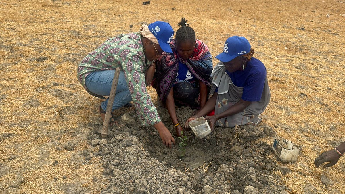 unwomenssudan's tweet photo. I am Rukaya Mohammed, Deputy Country Representative, UN Women South Sudan

I pledge to join the movement to restore our planet!

Our Land Our Future.

We are #GenerationRestoration.

#WorldEnvironmentDay https://t.co/0b3aPP69Qm