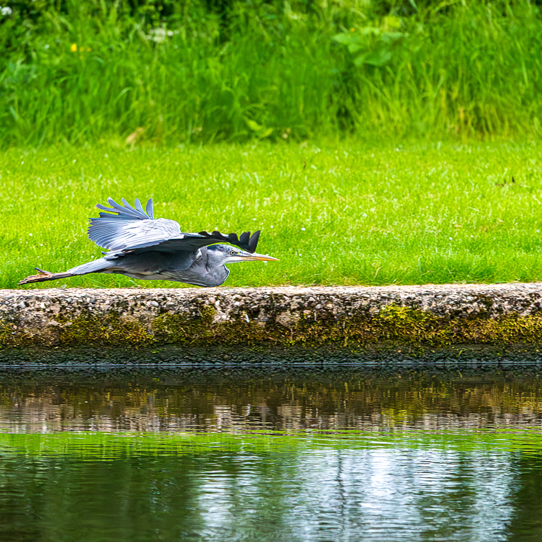 CharlieHPhoto's tweet photo. A few shots from yesterday's visit to Knowle Locks. @LockCrt https://t.co/ttrxNykIiy