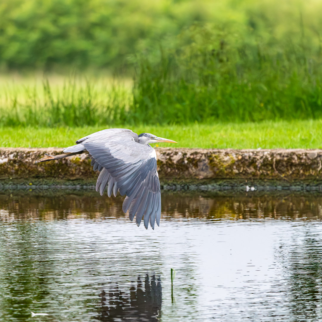 CharlieHPhoto's tweet photo. A few shots from yesterday's visit to Knowle Locks. @LockCrt https://t.co/ttrxNykIiy