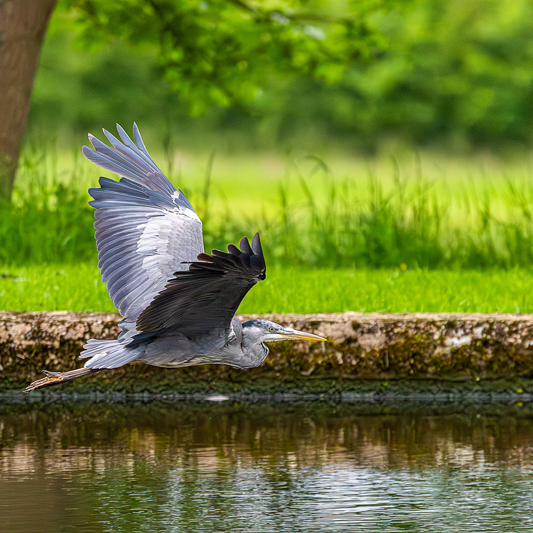 CharlieHPhoto's tweet photo. A few shots from yesterday's visit to Knowle Locks. @LockCrt https://t.co/ttrxNykIiy