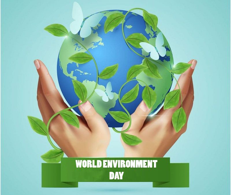 Pravi_97's tweet photo. Cheers to World Environment Day! 

However, the news regarding our planet isn't all that cheery. Globally, ecosystems are under danger.
The good news is that everybody can contribute to #GenerationRestoration and change the world both now and every day.
#WorldEnvironmentDay‌2024 https://t.co/j6f9dq9i2l