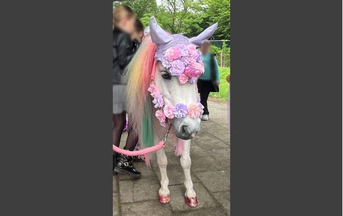 RTL Nieuws tweet media