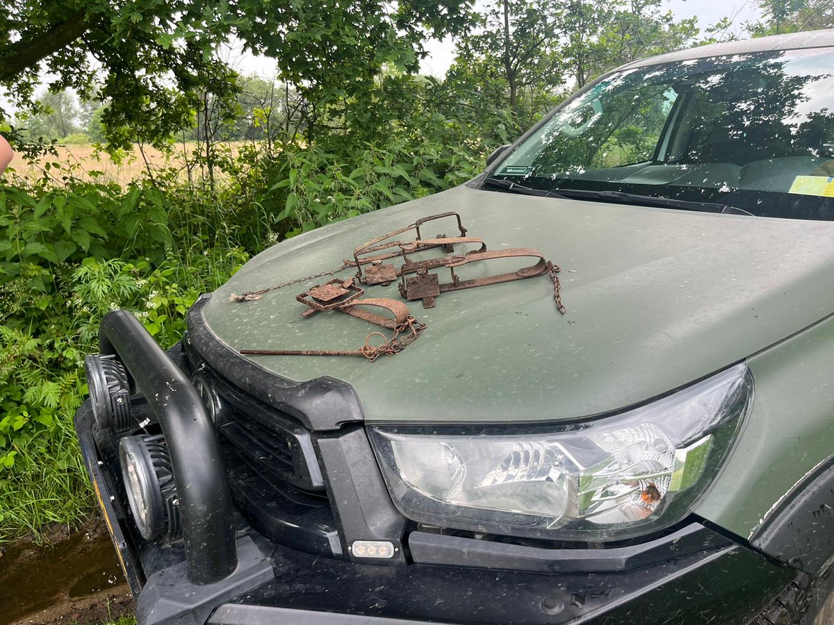 𝗩𝗶𝗲𝗿 𝘄𝗶𝗹𝗱𝗸𝗹𝗲𝗺𝗺𝗲𝗻 𝗶𝗻 𝗯𝗲𝘀𝗹𝗮𝗴 𝗴𝗲𝗻𝗼𝗺𝗲𝗻
Een natuurinspecteur van SSiB heeft vier wildklemmen in beslag genomen in de gemeente Baarle-Nassau. De klemmen werden in het buitengebied aangetroffen. Het gebruik van wildklemmen is in Nederland verboden.