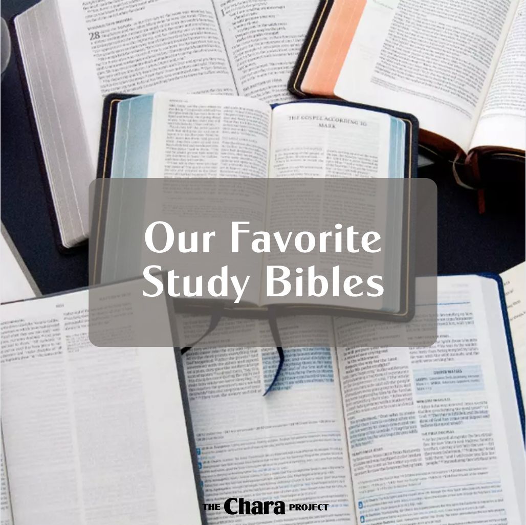 chara_project's tweet photo. If you've been following us for any length of time, you know our team loves Study Bibles - and also loves to collect them!

Because we want you to love them too, we have compiled a list of our favorite Study Bibles and resources (LINK IN BIO). https://t.co/KkMqsADFtV