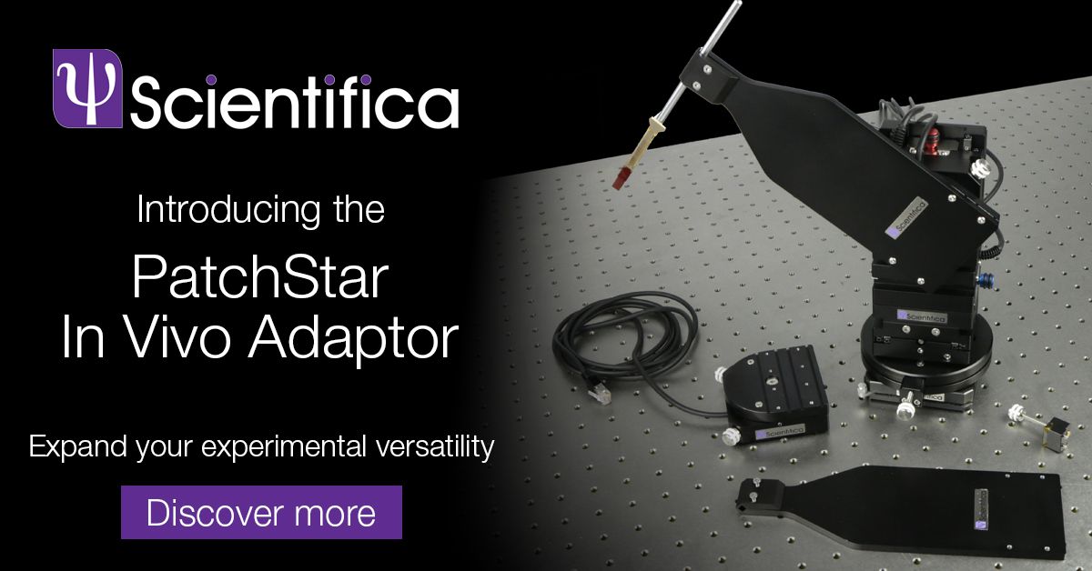 Scientifica_Int's tweet photo. The new In Vivo Adaptor allows you to easily convert your PatchStar into an in vivo #micromanipulator, expanding your range of experimental possibilities cost-effectively. Find out more https://t.co/S5Zllg0hiu #electrophysiology https://t.co/ysD2Bvdj7F
