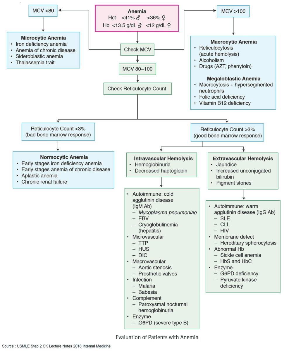 How to approach Anemia
#Anemia Algorithm.
#Hematology