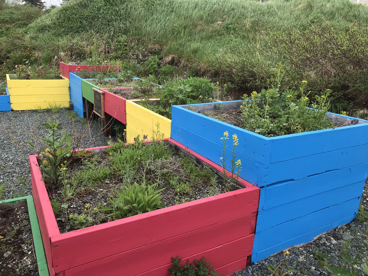 VOCMNEWS's tweet photo. Growing Through the Ages is an intergenerational gardening program administered by Conservation Corps NL in collaboration with community partners throughout Newfoundland and Labrador. https://t.co/rrkKmkjecw