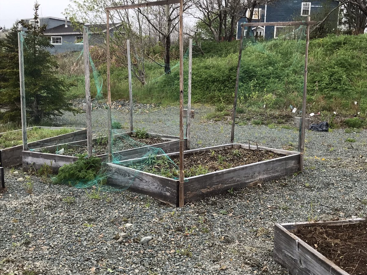 VOCMNEWS's tweet photo. Growing Through the Ages is an intergenerational gardening program administered by Conservation Corps NL in collaboration with community partners throughout Newfoundland and Labrador. https://t.co/rrkKmkjecw