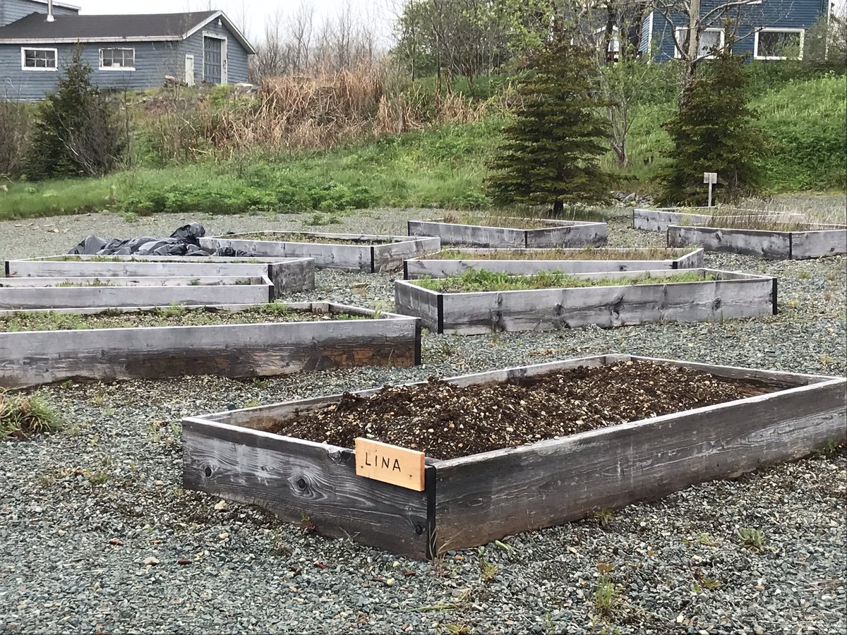VOCMNEWS's tweet photo. Growing Through the Ages is an intergenerational gardening program administered by Conservation Corps NL in collaboration with community partners throughout Newfoundland and Labrador. https://t.co/rrkKmkjecw