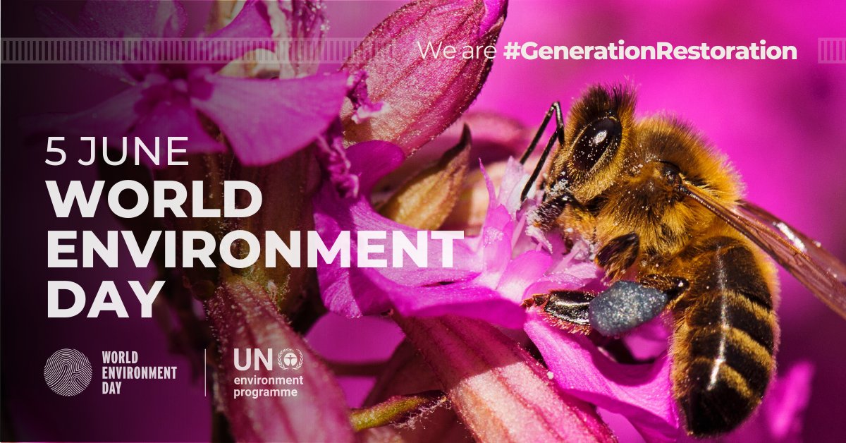blocalmb's tweet image. This year’s World Environment Day campaign focuses on land restoration, desertification and drought resilience under the slogan “Our land. Our future. We are #GenerationRestoration.”  Let's continue to use the power of business to drive change and make a difference every day. 🌍