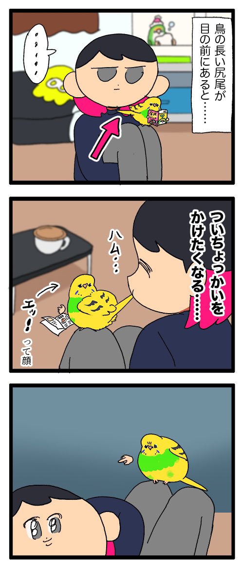 鳥さんの長〜い尾羽、つい触りたくなっちゃう……🦜🖐️

1141 #えるポピの絵日記かくところ 