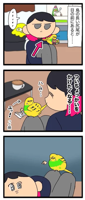 鳥さんの長〜い尾羽、つい触りたくなっちゃう……🦜🖐️

1141 #えるポピの絵日記かくところ 