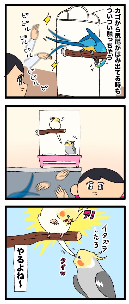 鳥さんの長〜い尾羽、つい触りたくなっちゃう……🦜🖐️

1141 #えるポピの絵日記かくところ 