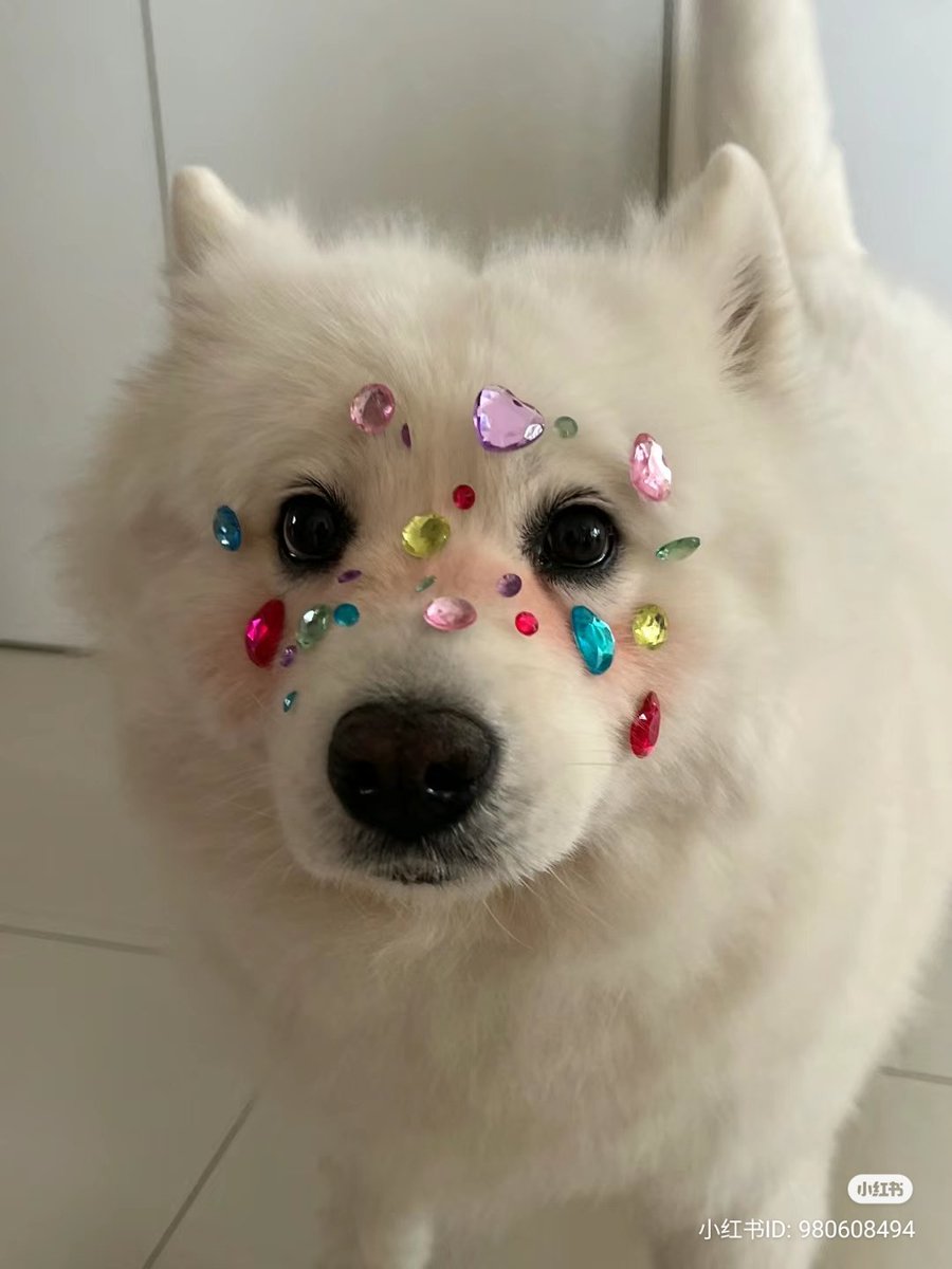 oujihyunjini's tweet photo. https://t.co/PwAaI6BhZr
