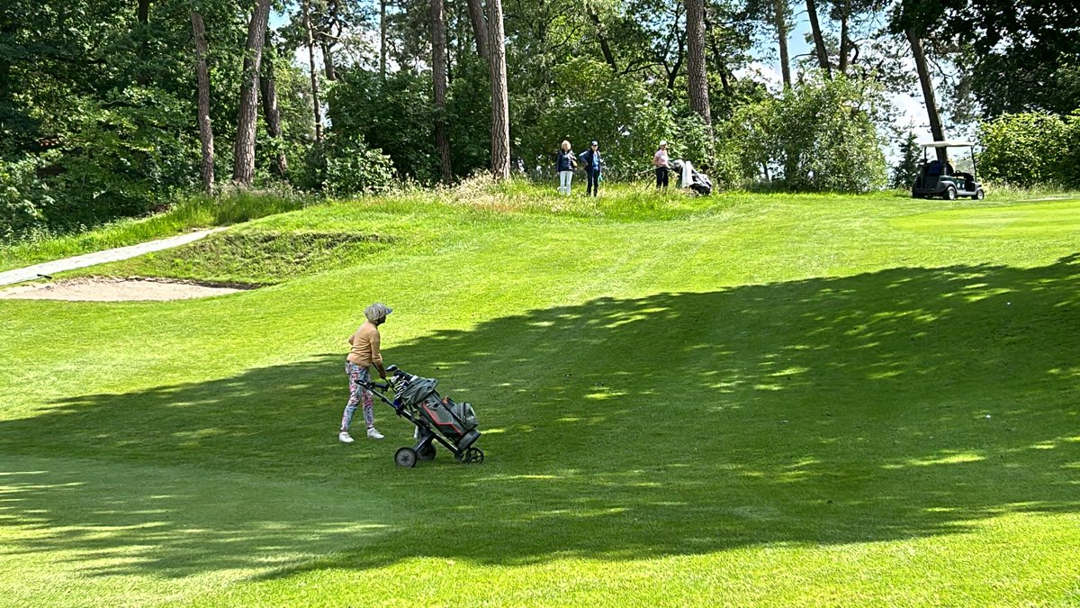 NGF_'s tweet photo. Op de #Hattemse G&CC is vandaag het tweedaagse NK 65+ begonnen.
Volg de scores ➡️ https://t.co/2iP3QT2eQs
#36holes #strokeplay #golf https://t.co/QA0JOjz8N0