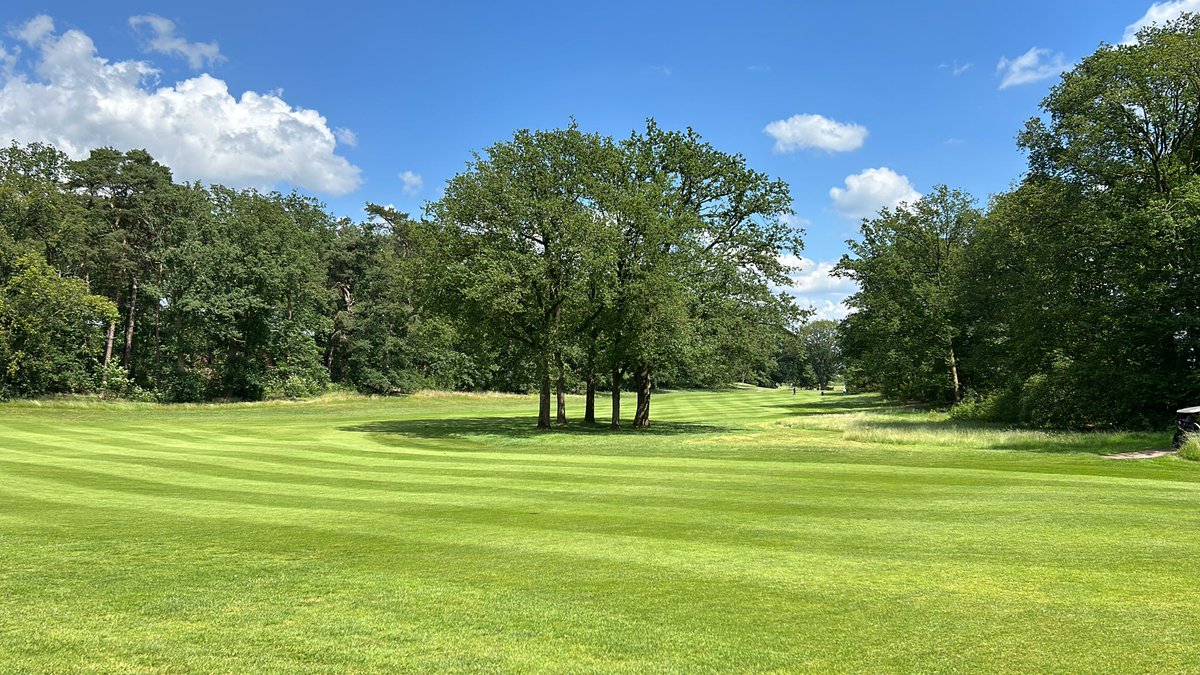 NGF_'s tweet photo. Op de #Hattemse G&CC is vandaag het tweedaagse NK 65+ begonnen.
Volg de scores ➡️ https://t.co/2iP3QT2eQs
#36holes #strokeplay #golf https://t.co/QA0JOjz8N0