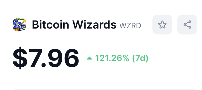 SummerTime tweet media