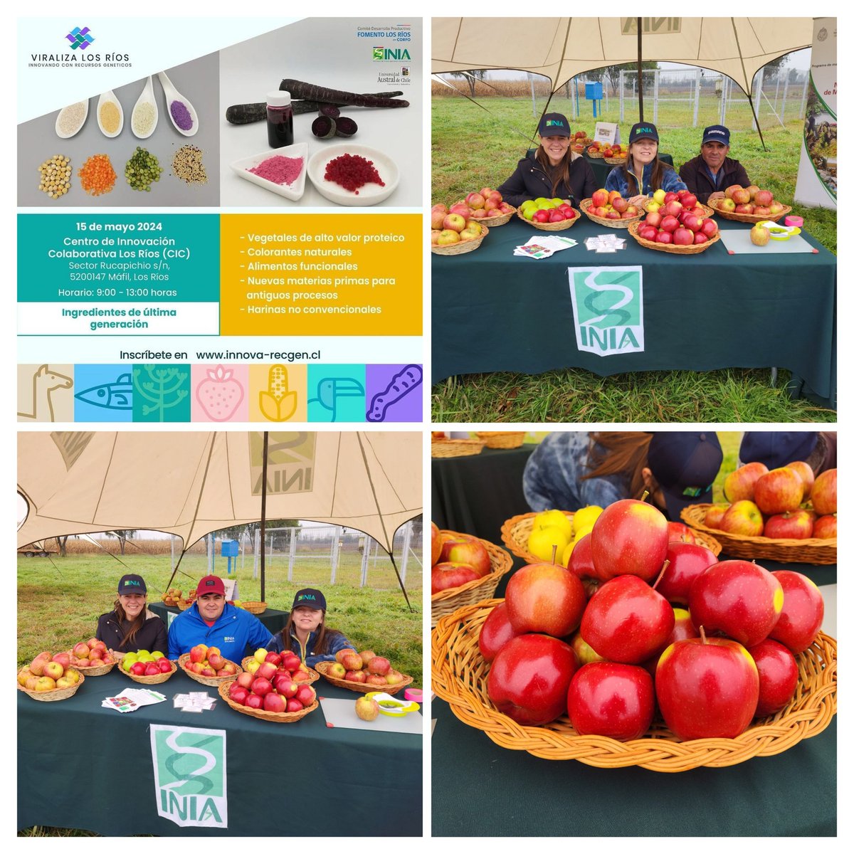 Durante el mes de mayo PMG Frutales fue invitado a participar de dos grandes eventos; Viraliza Los Ríos y Dia de Campo  agroecología ambas jornadas tremendamente enriquecedoras con una participación importante de agricultores, empresas e investigadores <a href="/INIAQuilamapu/">INIA Quilamapu</a> <a href="/iniachile/">INIA Chile</a>