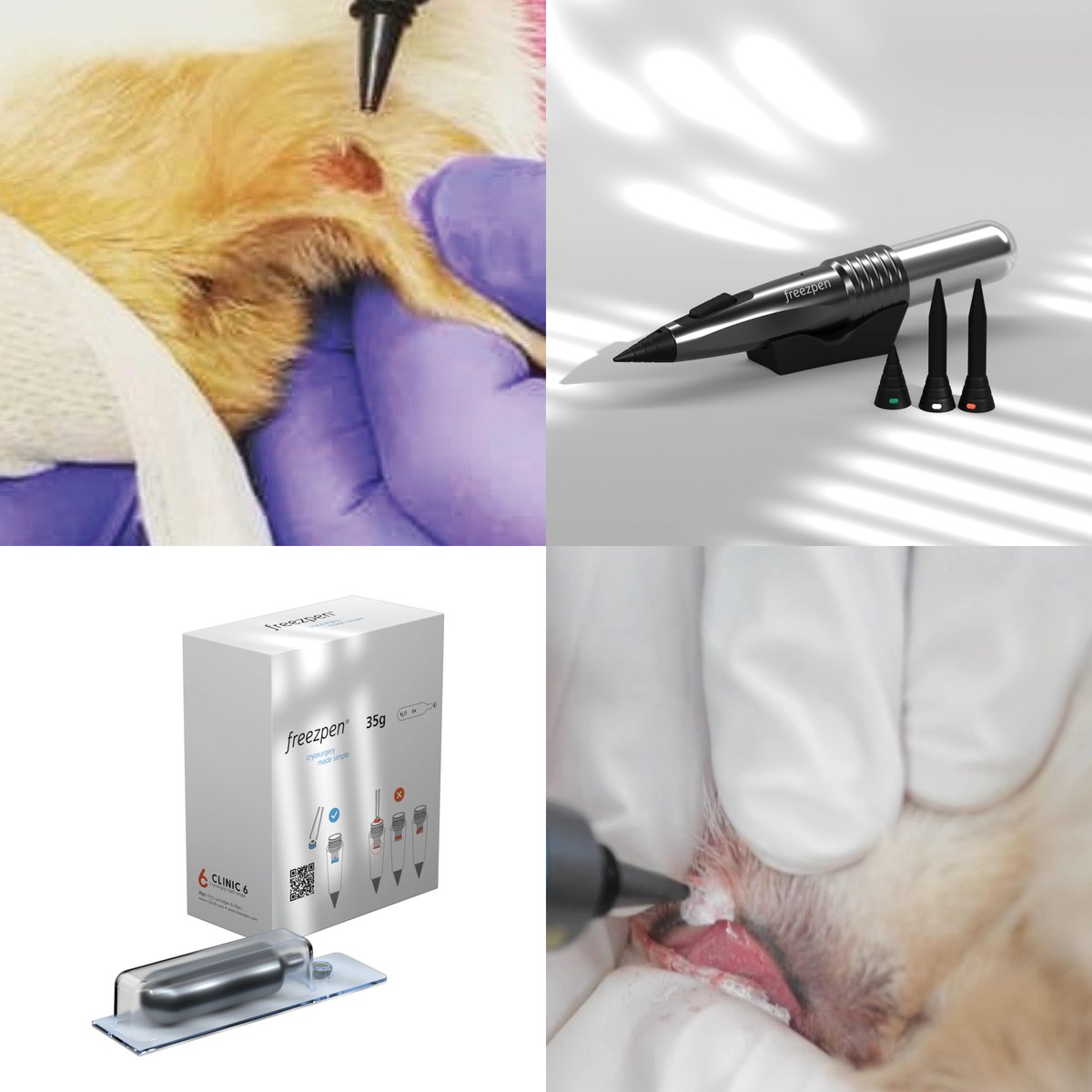 freezpen's tweet photo. Say goodbye to benign skin lesions with our trusted Freezpen device. Veterinarians choose the best for quick, painless treatments that get results!

#freezpen #CryosurgeryMadeSimple #NewLook #SimplyPowerful #SimplyPractical #SimplyPrecise #SimplyGoodBusiness #LesionRemoval https://t.co/2a9G0OApoP