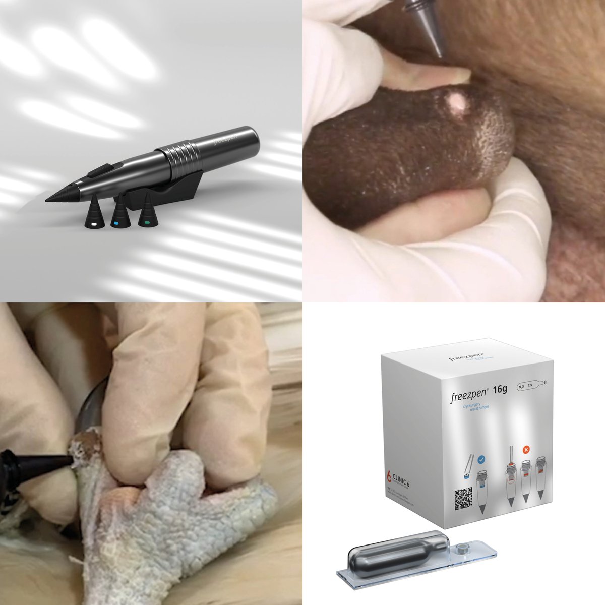 freezpen's tweet photo. Say goodbye to benign skin lesions with our trusted Freezpen device. Veterinarians choose the best for quick, painless treatments that get results!

#freezpen #CryosurgeryMadeSimple #NewLook #SimplyPowerful #SimplyPractical #SimplyPrecise #SimplyGoodBusiness #LesionRemoval https://t.co/2a9G0OApoP