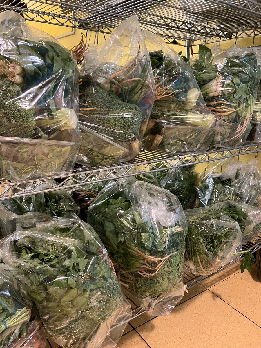 NYCommonPantry's tweet photo. This weekโs #farmshare included purple carrots, broccoli, mixed greens, oregano, cabbage, spinach, corn, strawberries, pineapple, basil, and scallions.
To learn more about our Live Healthy! Program, visit https://t.co/EDfosXLnR6 https://t.co/EUK0U7MqWz