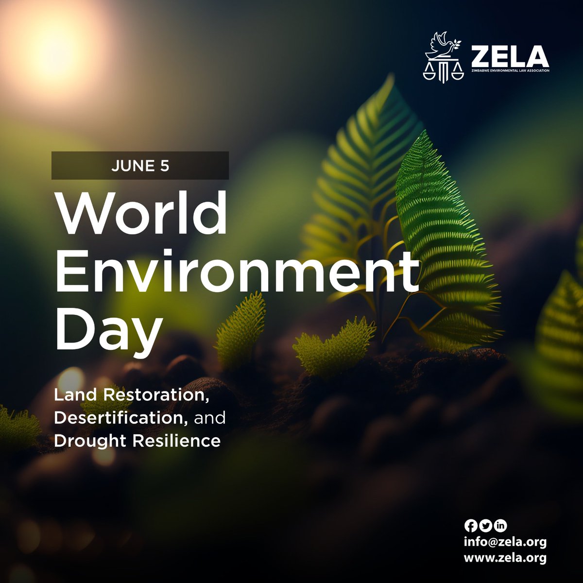 We are #GenerationRestoration

Calling watchdogs of our land,
Protecting nature with a steady hand,
Raising awareness, taking a stand.
On this #WorldEnvironmentDay‌2024, let's stand together for our Our Land, Our Future!

#landrestoration
#desertification 
#droughtresilience