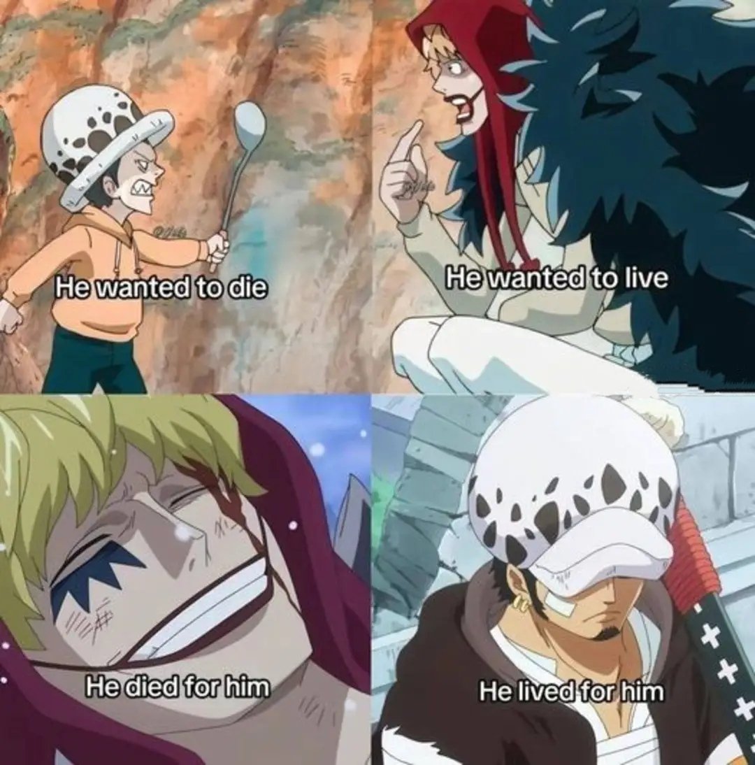 One Piece Memes tweet media