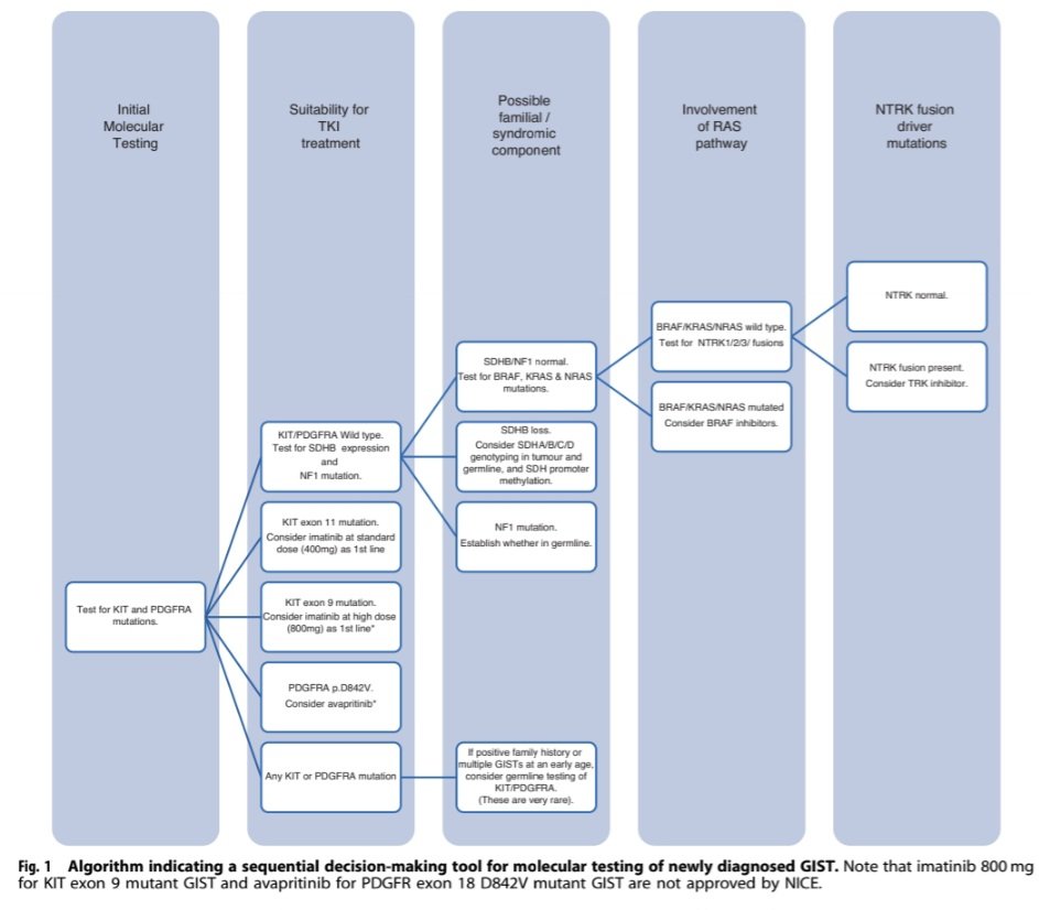 Gastrointestinal stromal tumour (GIST): British Sarcoma Group clinical practice guidelines

<a href="/OncoAlert/">OncoAlert</a>