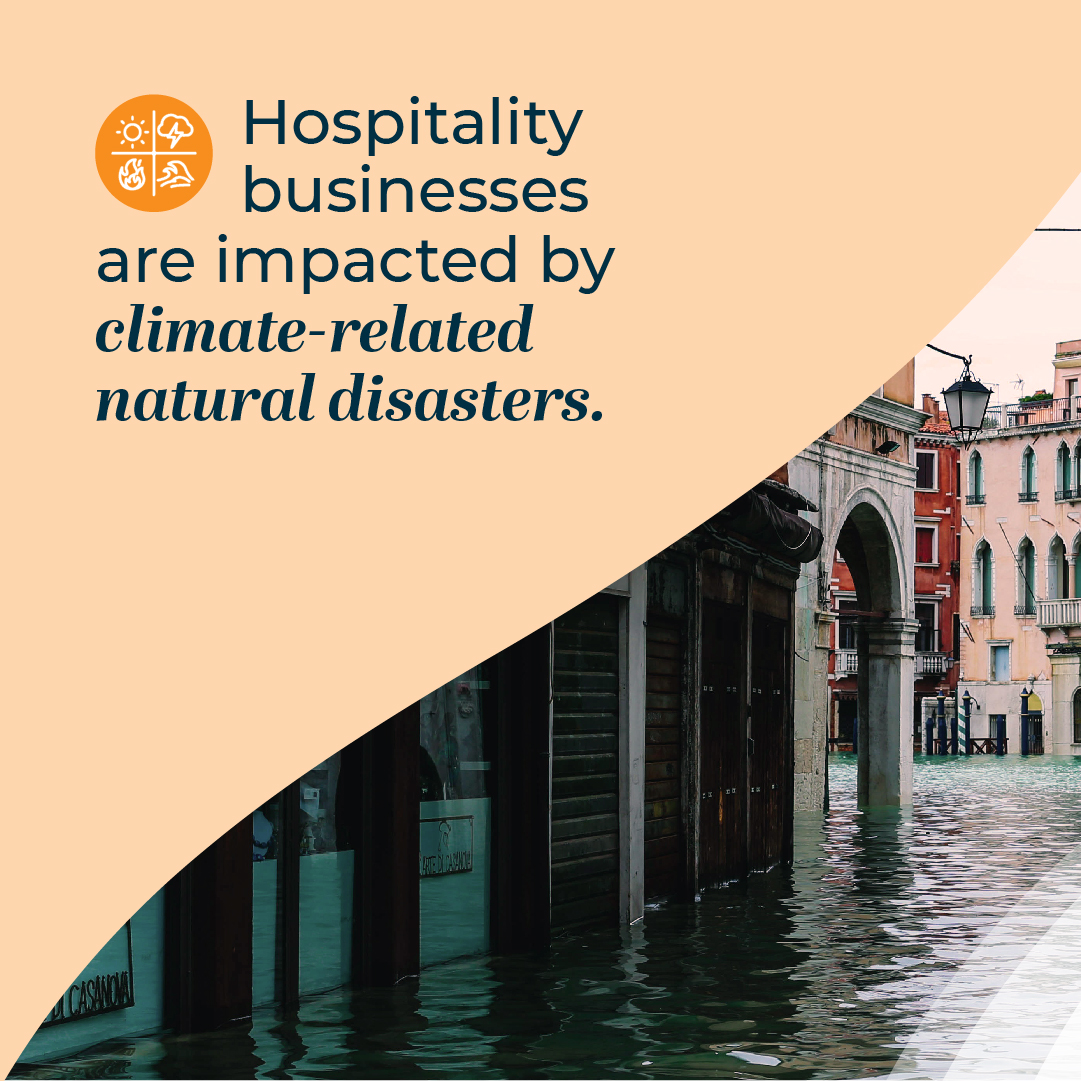 HOTREC_EUROPE's tweet photo. 🌍On this #WorldEnvironmentDay, we embrace sustainability and promote greener measures for hospitality.
#ClimateChange affects us all, and tourism is no exception. To tackle these pressing issues, HOTREC co-organised the 1️⃣st tourism summit on climate.
#TransformingHospitality https://t.co/CniSpwygBL