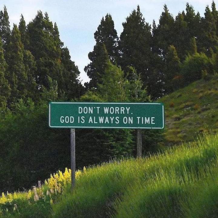 TweffC's tweet image. #NewProfilePic