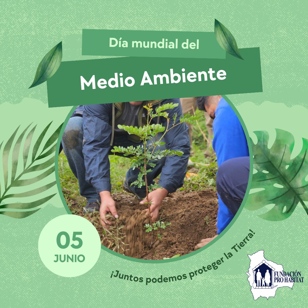 🌱Fundación Pro Habitat 🇧🇴 tweet media