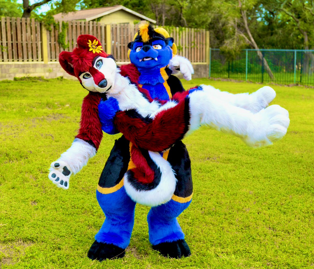 knoxx1616's tweet image. Would you like this cute dog I found?

📸: @RigelDerg