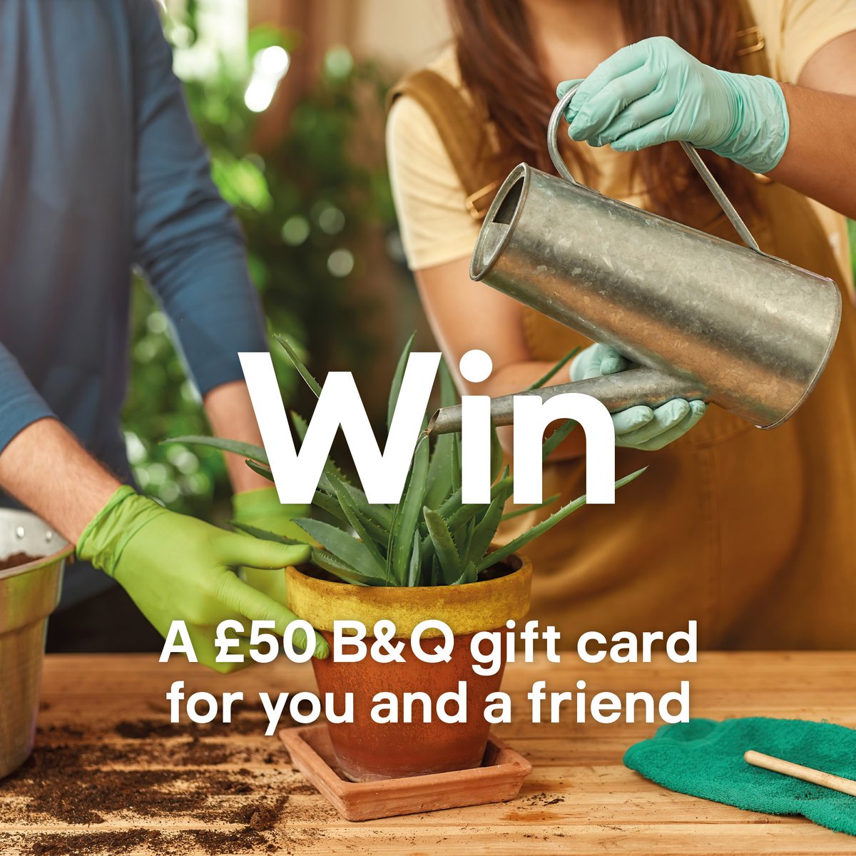 It's #NationalThankYouDay! Win a £50 B&amp;Q voucher for you and a friend 🧡​

1️⃣ Make sure you're following  
2️⃣ Like this post ​
3️⃣ Tag a friend who's always there to support your DIY projects 🔨​

Prize draw closes at 23:59 on 12 June 2024. Ts&amp;Cs apply –  bit.ly/3x1UVRi