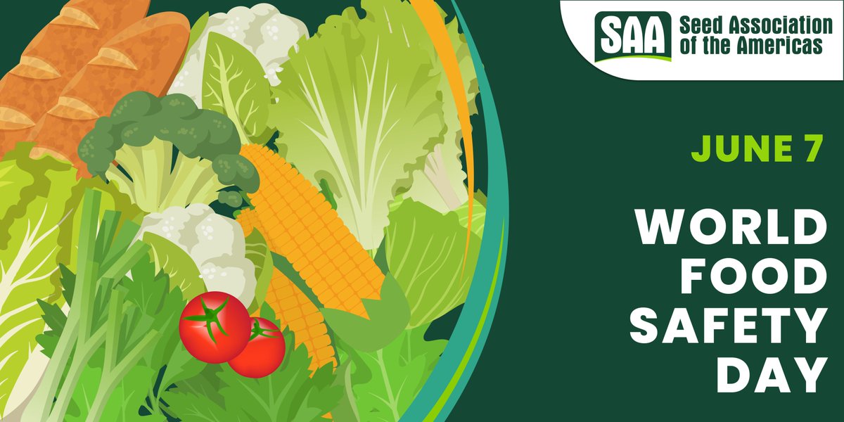 SAA__seed's tweet photo. #FoodSafetyDay. Quality #seeds are crucial for food security, ensuring a good crop stand because of their high genetic and physiological qualities. 🌾
#QualitySeeds #FoodSecurity #SAASeed https://t.co/57Vhp4ks0U