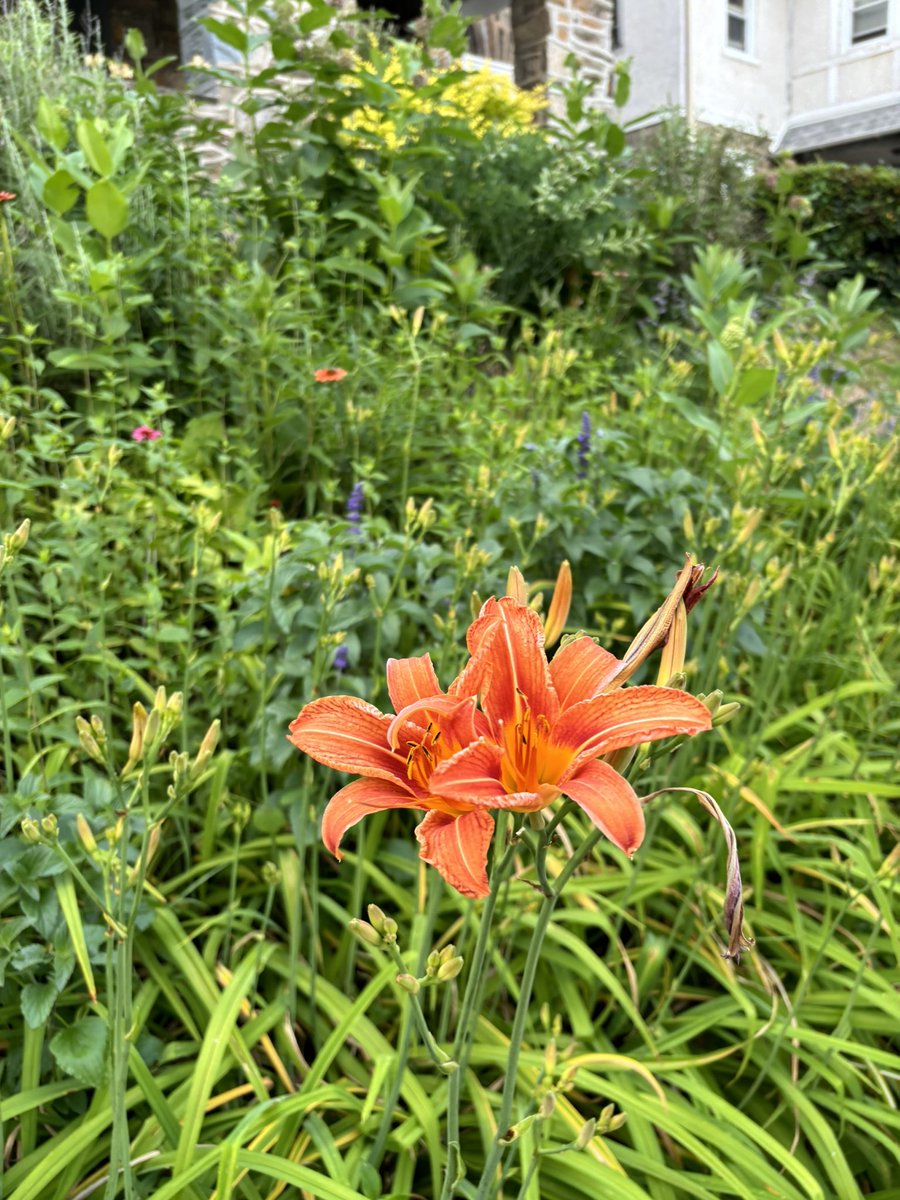 MoonSageFemme's tweet image. 🌍 The focus for World Environment Day 2024 is on land restoration, desertification, and drought resilience. Time to take a commitment to save our land for future generations.
#SaveSoil4Future