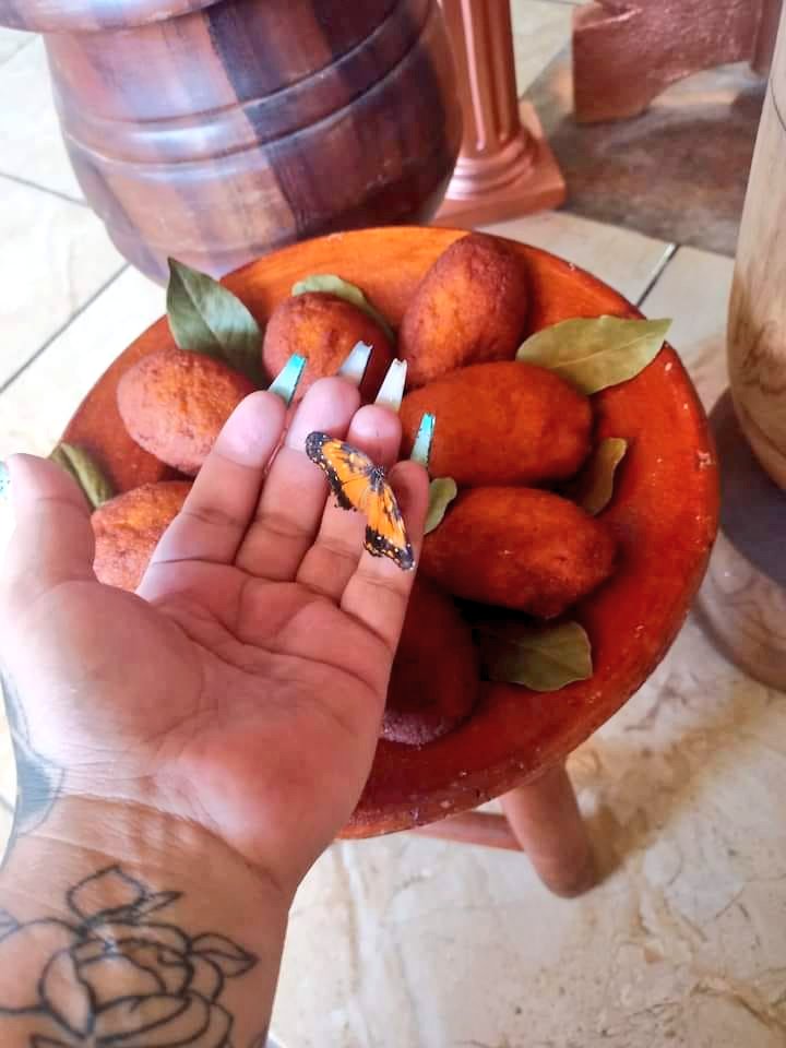 OrixaEncantado's tweet photo. Oya lhe trará uma boa notícia hoje! 🦋 https://t.co/o8kxUHHUpi