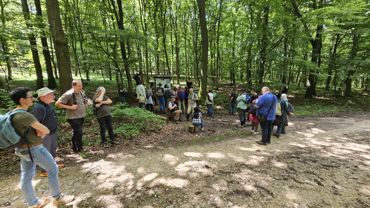 Community ecology of carabid beetles tweet media