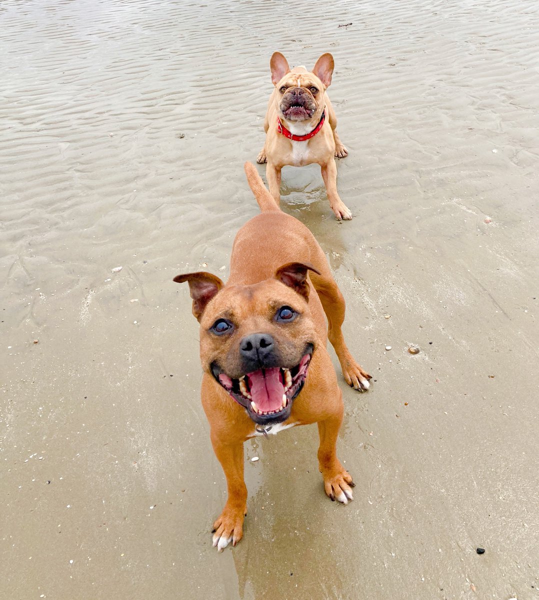 Yeah 
Afternoon by the sea with my french bro Buzz 🥰