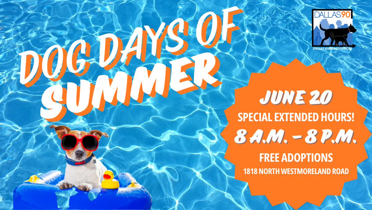 RafaelAnchia's tweet photo. Dallas, come adopt a dog for free ๐พ๐
@DallasShelter will be hosting
Dogs Days of Summer on June 20th. This is your opportunity to give one of our furry friends a home.
You can also sign up to take an adoptable dog for a day out in Dallas: https://t.co/Ws3nA8uagc #BeDallas90 https://t.co/BO9NTsjF8O