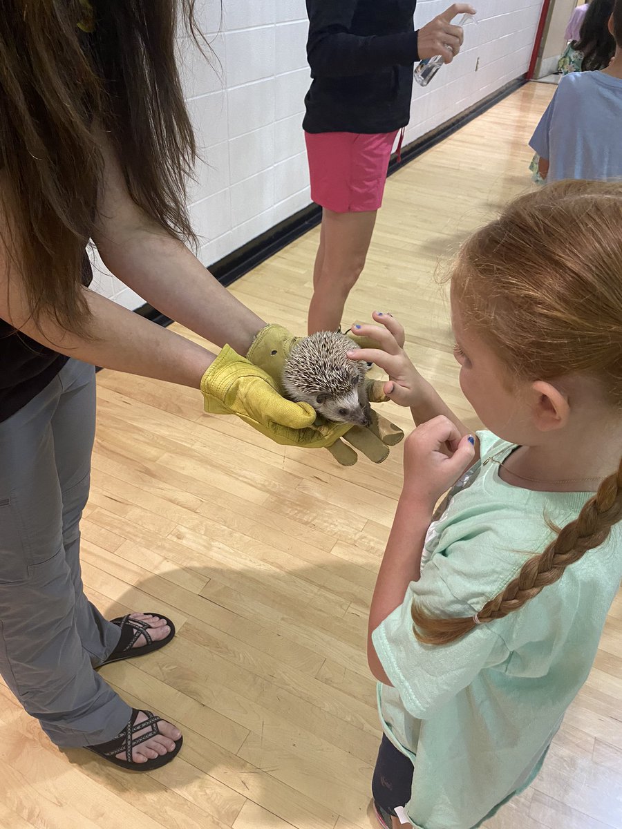 Lacie Reinsch tweet media