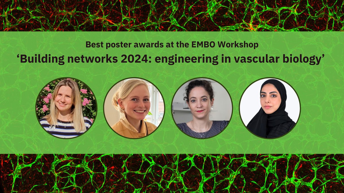 A round of applause for all the awarded researchers at the recent EMBO Workshop 'Building networks 2024: engineering in vascular biology' at EMBL Barcelona 👏

Poster prizes:
🏅 Iva Šantek, Institute of Oncology Ljubljana, Slovenia
🏅 Ditte Marie Storm, Novo Nordisk A/S/ Aarhus