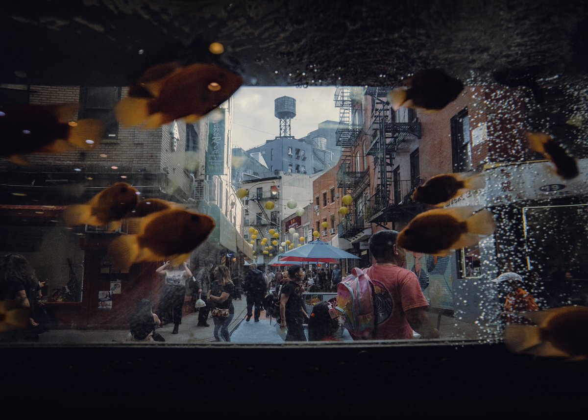 Billy Dinh tweet media