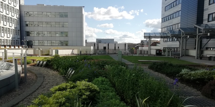 SAFLibraryGCU's tweet photo. Its summer! 😎

The library is still open, but we've moved to summer hours for the next few months. As a bonus, our lovely roof garden is available if you want to get some sun! 🌞🌴 https://t.co/gV11e7uSSb