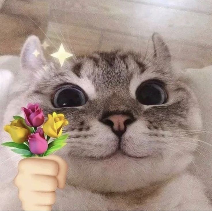 hlow kk cangtip, slmat dtang di indojuni🤩😘🫰🏻🖐🏻 <a href="/acaaassii/">⋆˚꩜｡🗯🍡</a>
