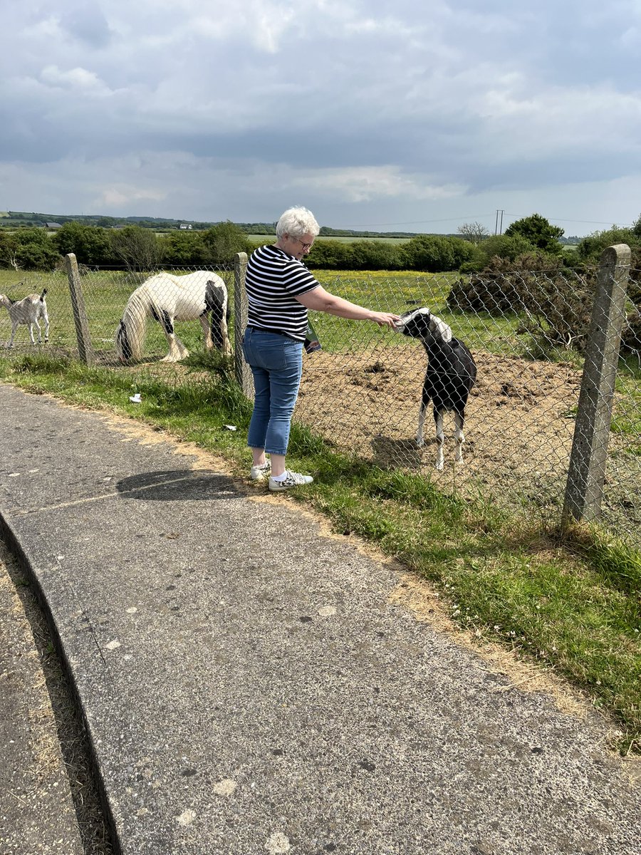simboyse's tweet photo. When you turn your head for a second and find your chief canvasser acting the goat 🐐 

Getting close to the end, the girls canvassed the final few houses in Cul Caislean! 

Let Boyse Be Your Voice! https://t.co/UwCrzXwqPC